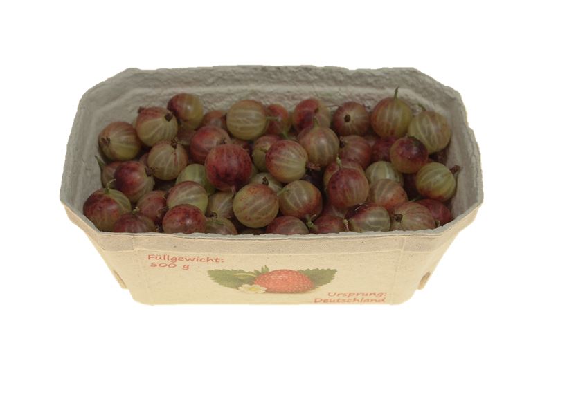 Neu im Sortiment KW27-28 Stachelbeeren rot gepackt